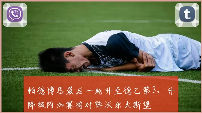 帕德博恩最后一轮升至德乙第3,升降级附加赛将对阵沃尔夫斯堡